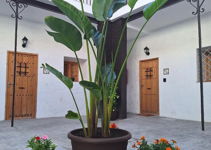 Suite San Mateos 15