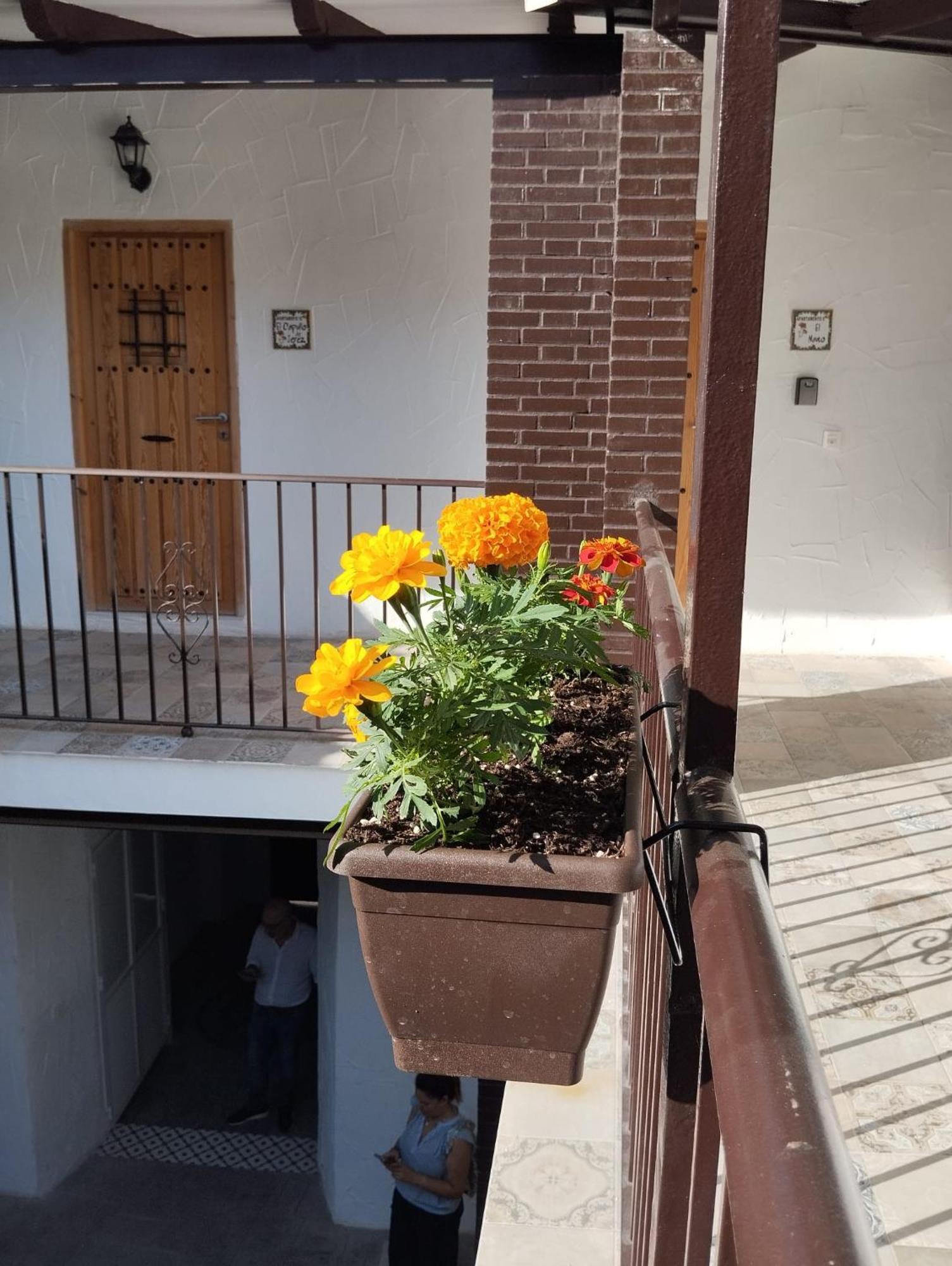 Appartement San Mateos 15 Jerez de la Frontera