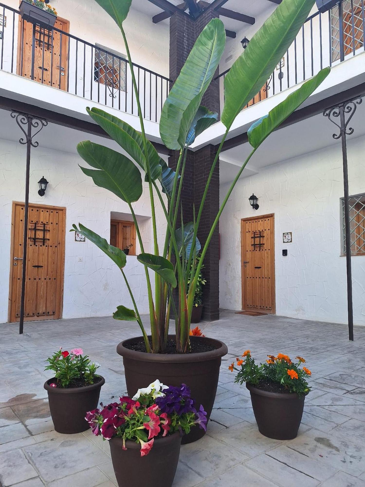 Appartement San Mateos 15 *